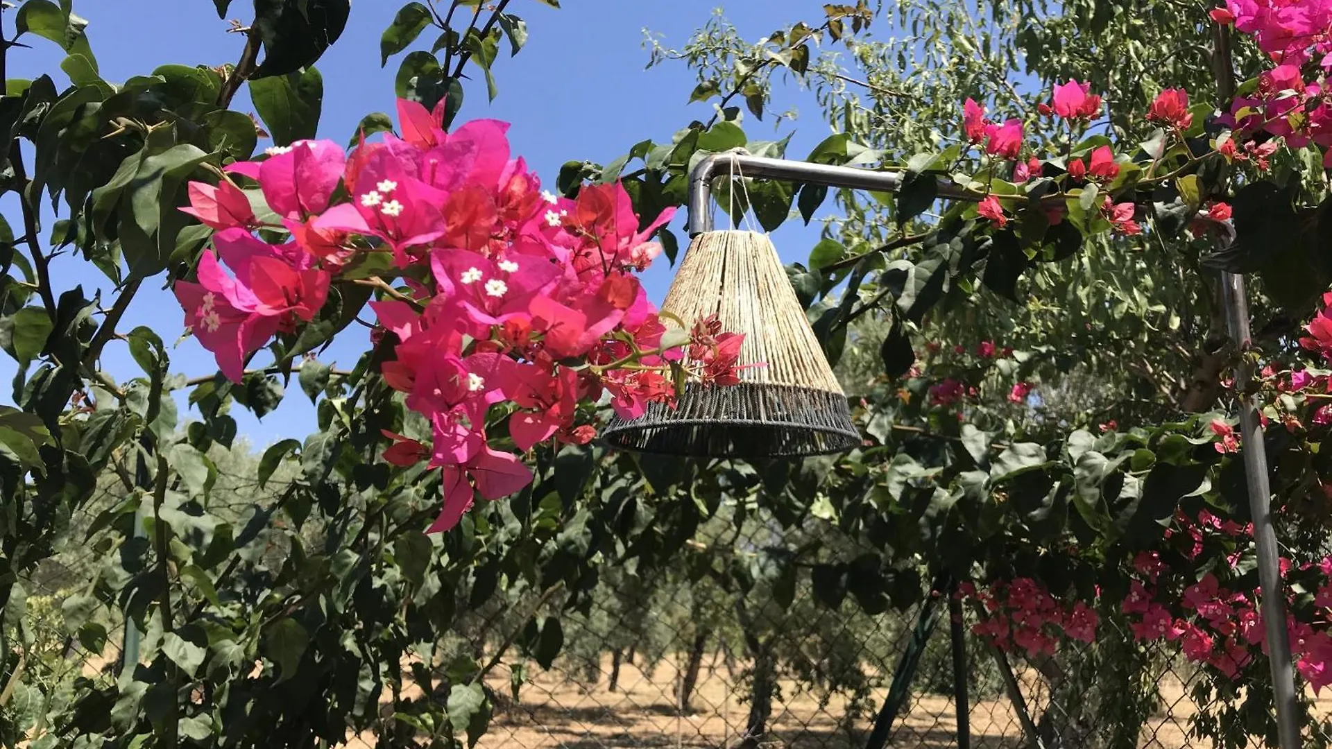 Panzió Casapiuholidaysicilia-Adults Only Noto Olaszország