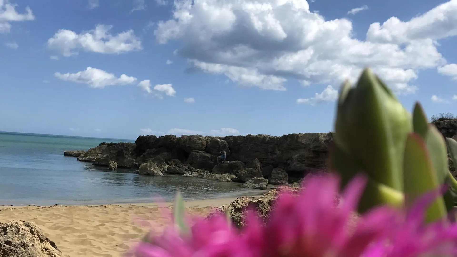 Casapiuholidaysicilia-Adults Only Noto